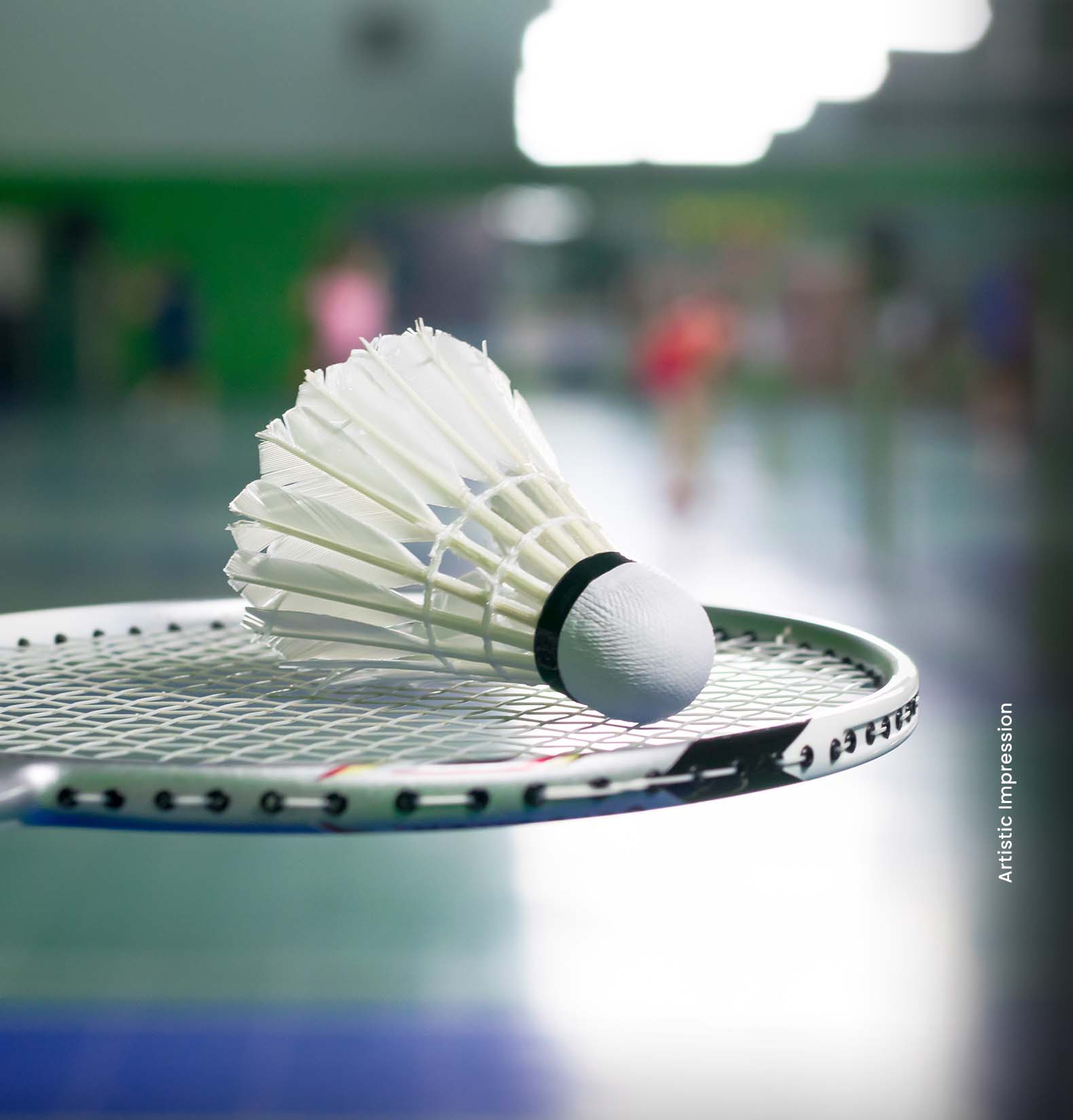M3M The Cullinan indoor games and fitness centre